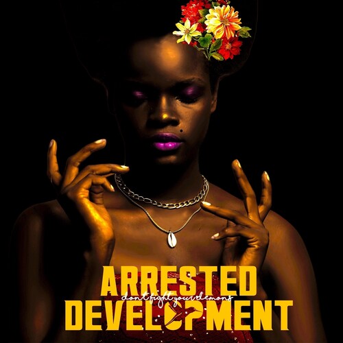 Arrested Development: Don't Fight Your Demons - VINYL LP
