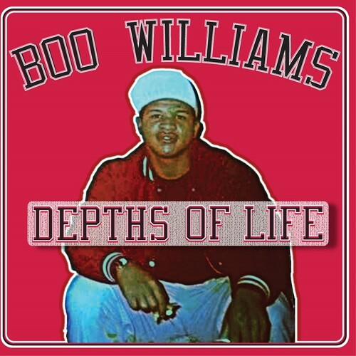 Boo Williams: Family Affair Vol. 1 (Various Artists) - VINYL LP