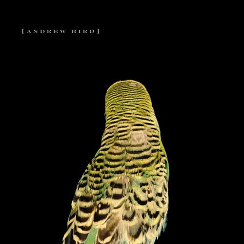 Andrew Bird: Armchair Apocrypha - COMPACT DISCS