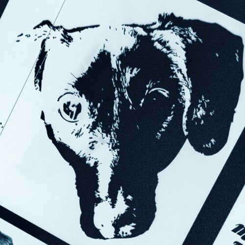 Michael Orchestra Leonhart: Denial (Original Soundtrack) - 7-INCH SINGLE