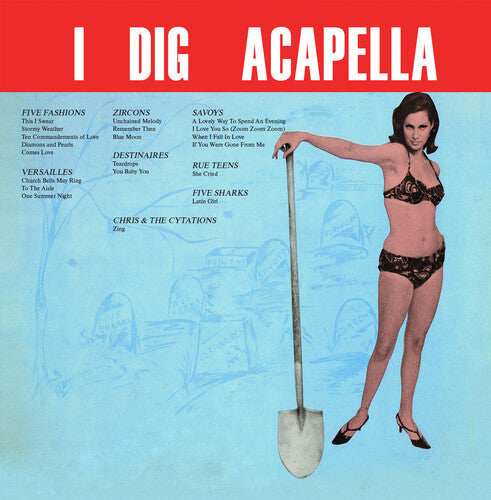 Various Artists: IDigAcappella(2023Remaster) - COMPACT DISCS