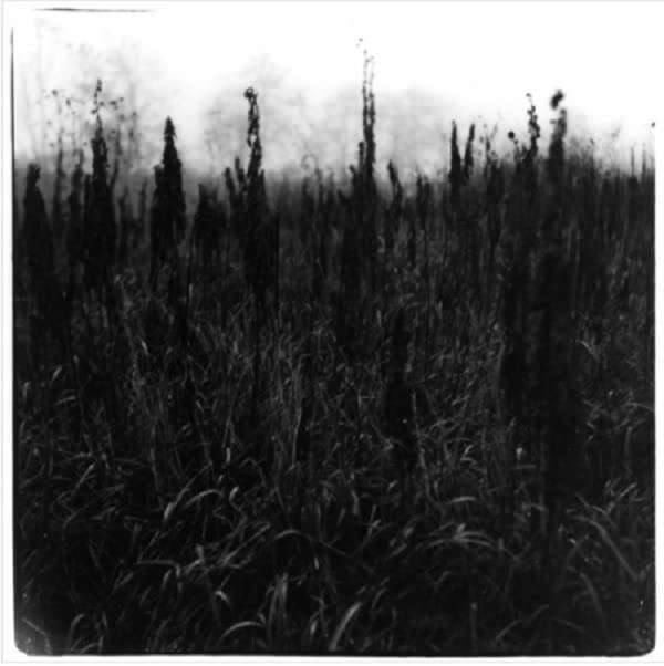 Bennet, David / Bromander, Vilhelm: Within Reach Of Eventuality - COMPACT DISCS