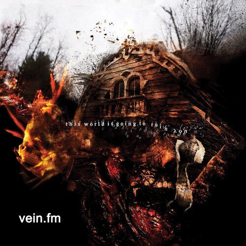 Vein.Fm: This World Is Going to Ruin You - VINYL LP