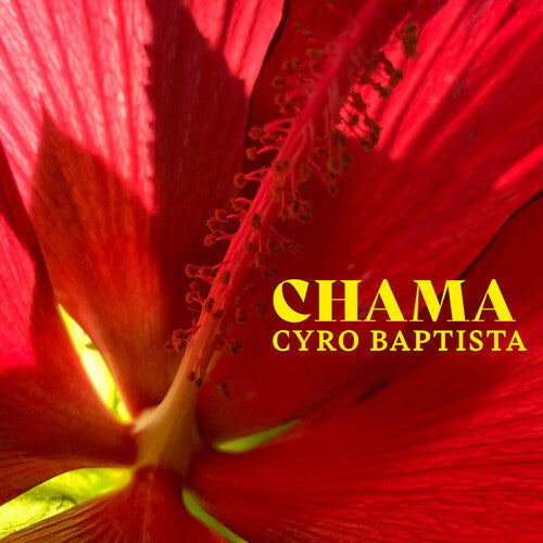 Cyro Baptista: Chama - COMPACT DISCS