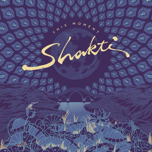 Shakti: This Moment - COMPACT DISCS