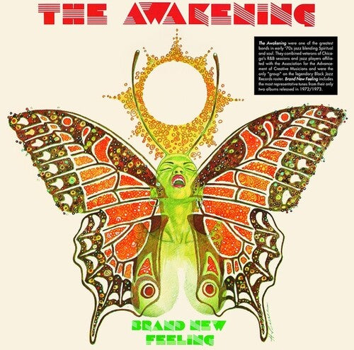 The Awakening: Brand New Feeling - VINYL LP