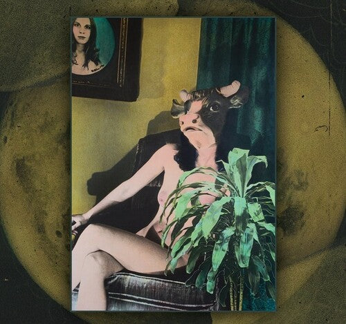 400 Lonely Things: Mother Moon - COMPACT DISCS