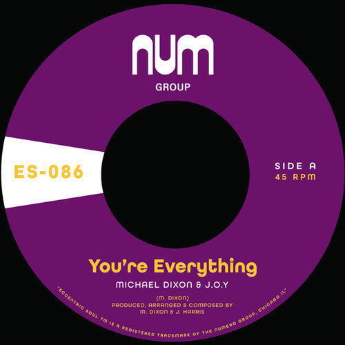 Dixon Michael a. & J.O.Y.: You're Everything B/w You're All I Need - 7-INCH SINGLE