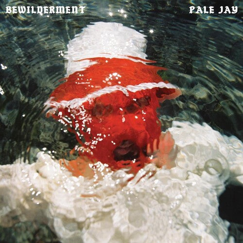 Pale Jay: Bewilderment - COMPACT DISCS