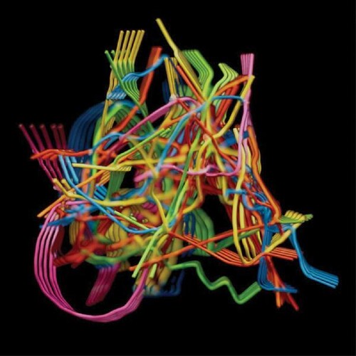 Dustin Wong: Perpetual Morphosis - COMPACT DISCS