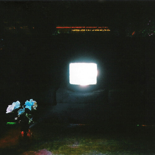 The Emeralds: Does It Look Like I'm Here? - COMPACT DISCS