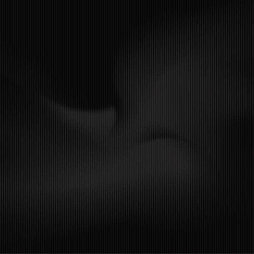 Ambrose Akinmusire: Beauty Is Enough - VINYL LP