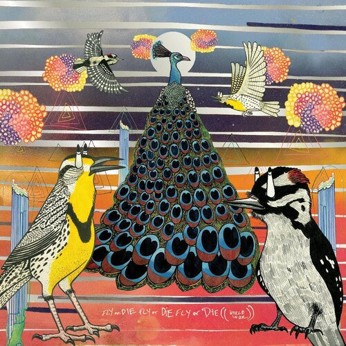 Jaimie Branch: Fly Or Die - VINYL LP