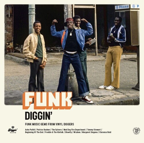 Various Artists: Funk Diggin / Various - VINYL LP