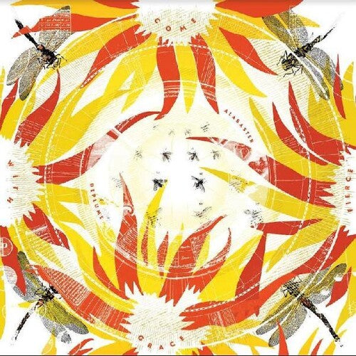 Alabaster Deplume: Come With Fierce Grace - VINYL LP