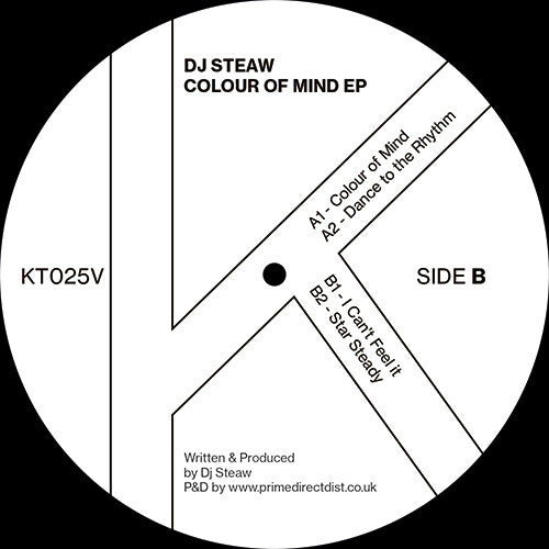 DJ Steaw: Colour Of Mind - 12-INCH SINGLE