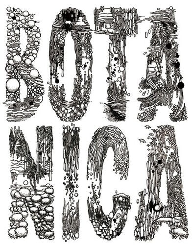 Iori Wakasa: Botanica - 12-INCH SINGLE