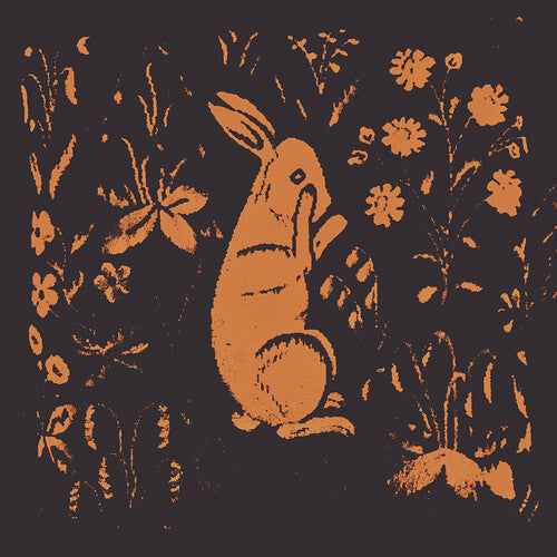 Sadness: Rabbit Album - VINYL LP