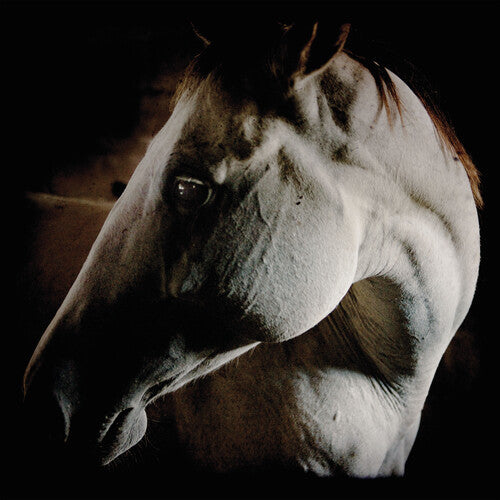 Brother Dege: How To Kill A Horse - COMPACT DISCS