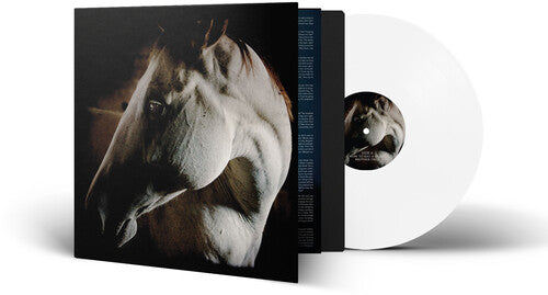 Brother Dege: How To Kill A Horse - VINYL LP