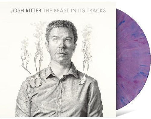 Josh Ritter: The Beast in Its Tracks - VINYL LP