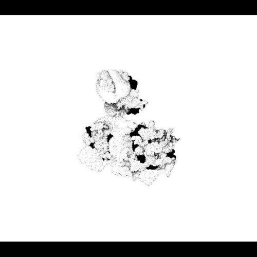 Anna Webber & Matt Mitchell: Capacious Aeration - COMPACT DISCS