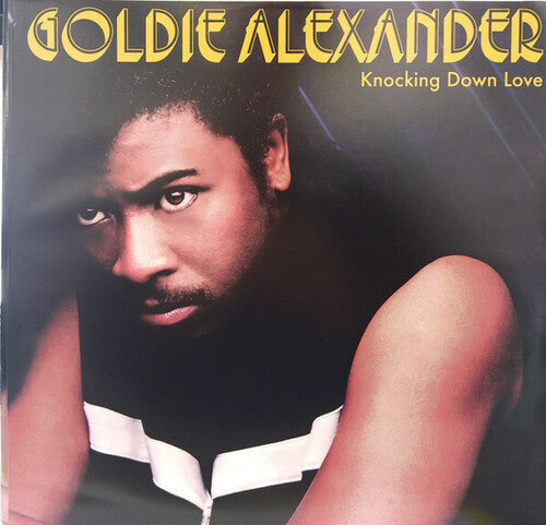 Goldie Alexander: Knocking Down Love - VINYL LP