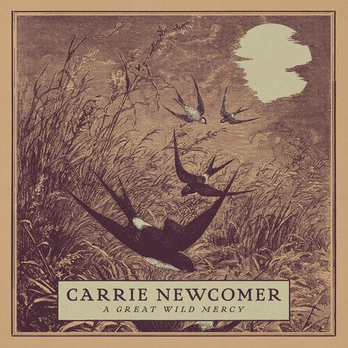 Carrie Newcomer: A Great Wild Mercy - COMPACT DISCS