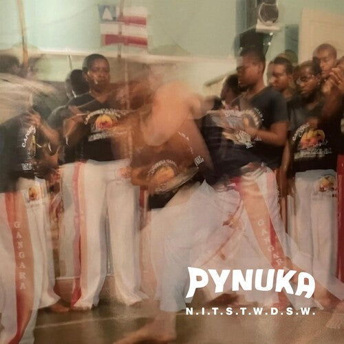Pynuka: N.i.t.s.t.w.d.s.w. - COMPACT DISCS