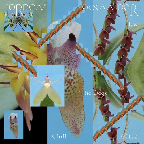 Jordon Alexander: How The Dogs Chill, Vol. 2 - 12-INCH SINGLE