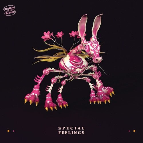 Special Feelings: Special Feelings - VINYL LP