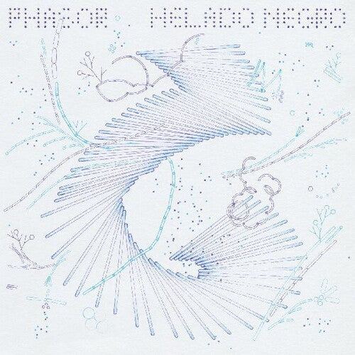Helado Negro: Phasor - VINYL LP