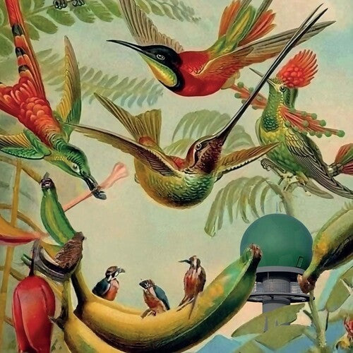 Various Artists: Radar Keroxen, Vol.4 - VINYL LP