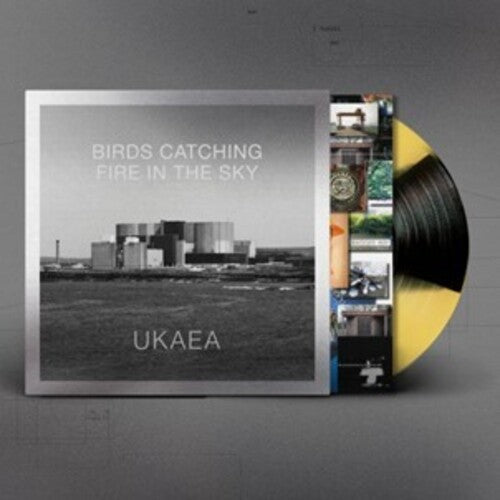 Ukaea: Birds Catching Fire In The Sky - Yellow & Black Vinyl - VINYL LP