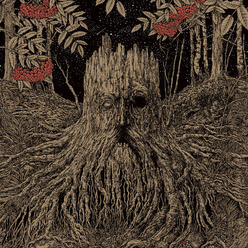Olhava: Sacrifice - COMPACT DISCS