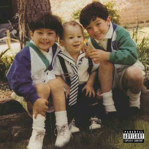 Jonas Brothers: The Family Business - VINYL LP