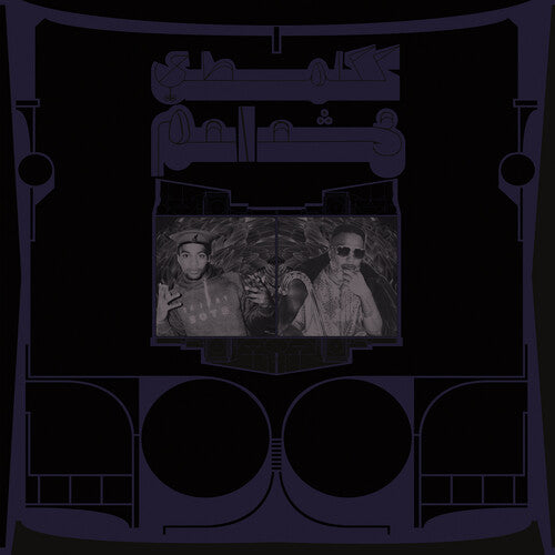 Shabazz Palaces: Exotic Birds of Prey - COMPACT DISCS
