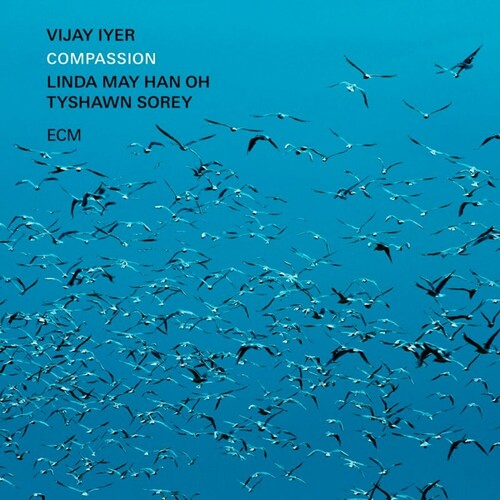 Vijay Iyer: Compassion - VINYL LP