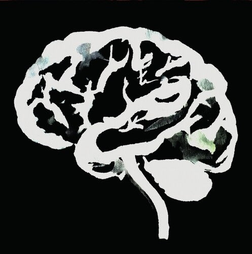 Ruins: Brain Flakes (The Lost Combo Tapes) - VINYL LP