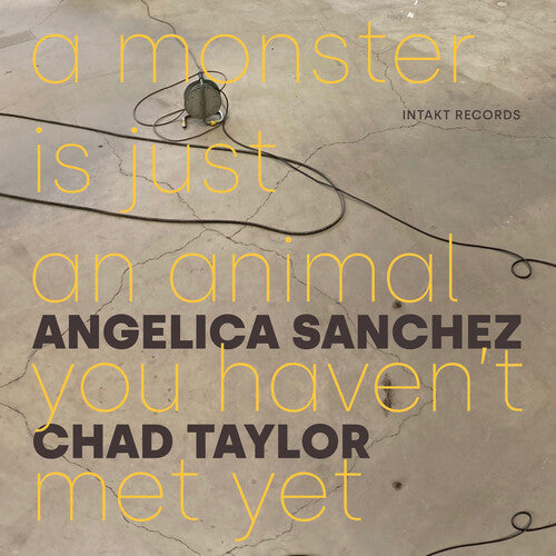 Angelica Sanchez: A Monster Is Just an Animal You Haven't Met Yet - COMPACT DISCS