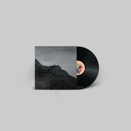 Tyler Ramsey: The Valley Wind - VINYL LP