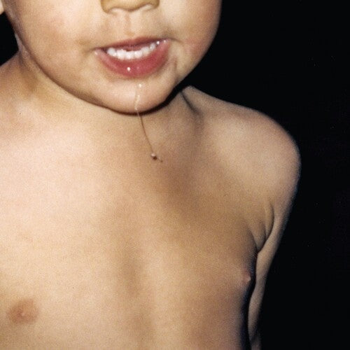 La Paloma: Todavia No - VINYL LP