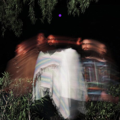 Surya Botofasina: Subtle Movements - VINYL LP