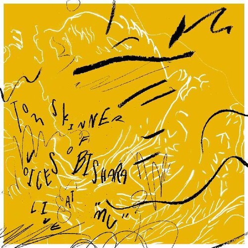 Tom Skinner: Voices Of Bishara Live At 'mu' - COMPACT DISCS