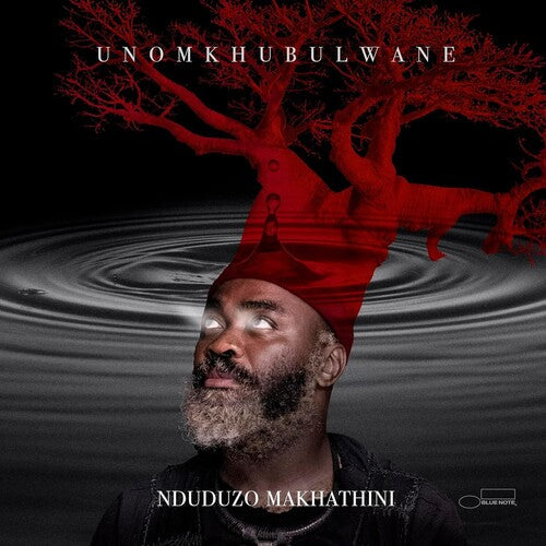 Nduduzo Makhathini: uNomkhubulwane - COMPACT DISCS