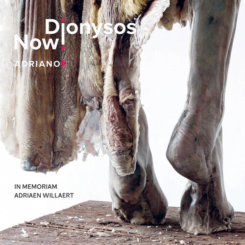 Dionysos Now!: Adriano 5 - COMPACT DISCS