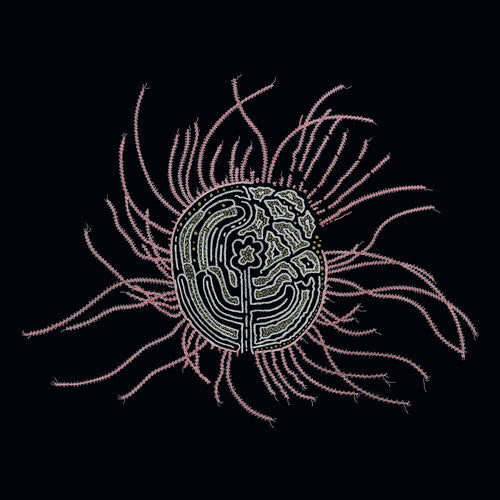 Ka Baird: Bearings: Soundtracks for the Bardos' - VINYL LP