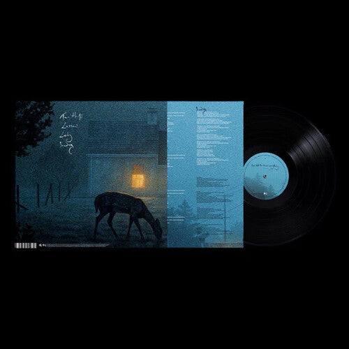 Dermot Kennedy: I've Told The Trees Everything - VINYL LP