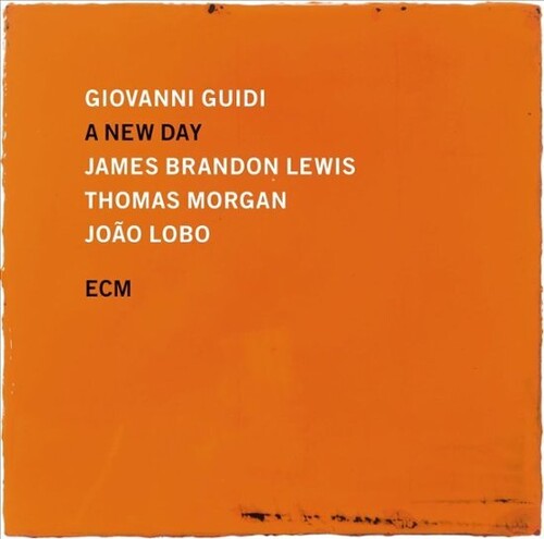 Guidi, Giovanni / Lewis, James Brandon / Thomas: A New Day - VINYL LP