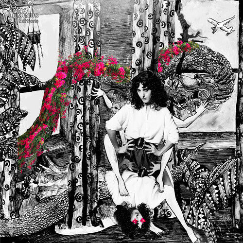 Thomas Bartlett: Sopp: The Hem & The Haw - COMPACT DISCS